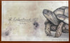 Esterbrook Blotting Paper - Nature-Pen Boutique Ltd