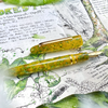 Esterbrook Estie Fountain Pen - Tropical Rain Forest - Stainless (Standard)-Pen Boutique Ltd