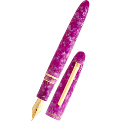 Esterbrook Estie Fountain Pen - Seasonal Punch-Pen Boutique Ltd