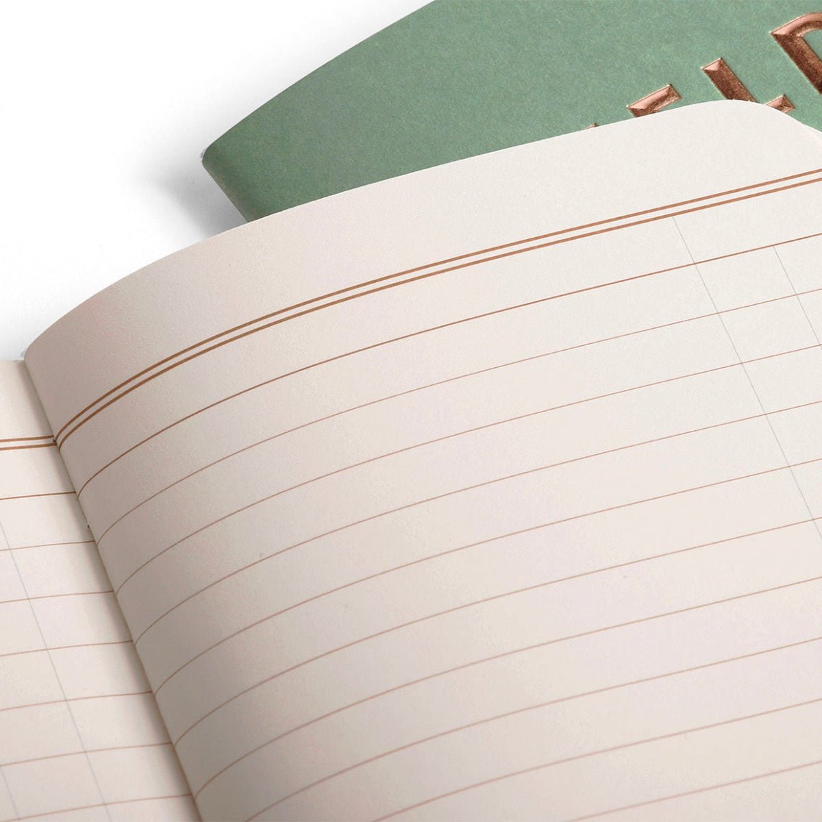 Field Notes Memobook - Lucky Edition (70th Quarterly Spring Release) - Pen Boutique Ltd