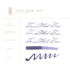Ferris Wheel Press Ink Bottle - Bayou Berry Mist - 38ml-Pen Boutique Ltd