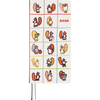 Hobonichi Light Hard Cover English Book - 100%ORANGE: Squirrel’s Moving Day - Tall & Slim (Weeks - January Start)-Pen Boutique Ltd