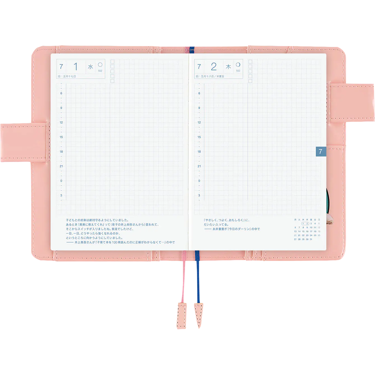 Hobonichi English Book & Cover - Candy Stripper: Random Dog & Cat (Pink) - A6 (January Start)-Pen Boutique Ltd