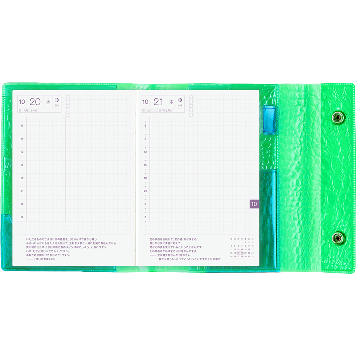 Hobonichi Japanese 2027 Book & Cover - Beautiful People: Nothing to Hide (Green) - A6-Pen Boutique Ltd