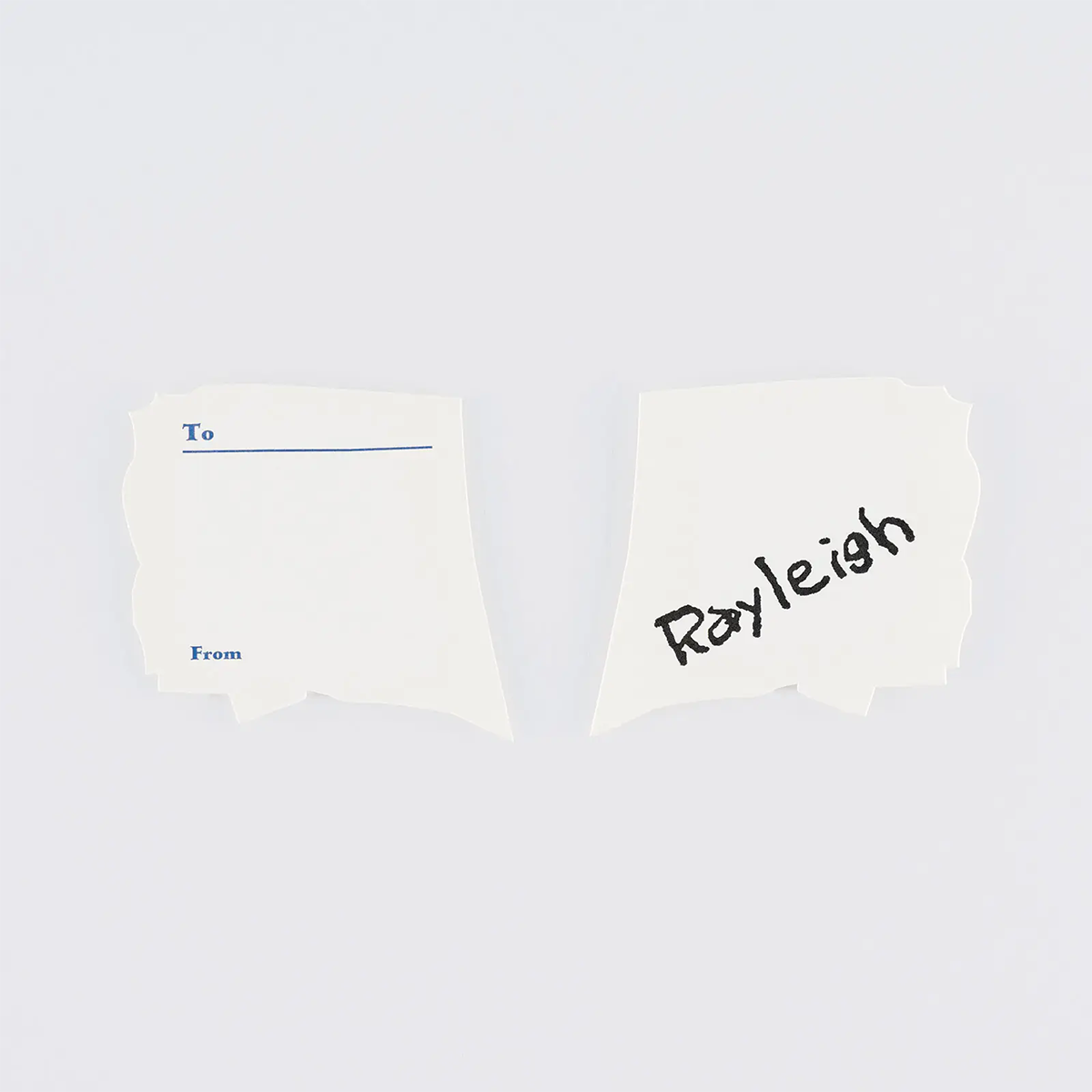Hobonichi Letterpress Printed Card - ONE PIECE Magazine: Vivre Card & Treasure Tab-Pen Boutique Ltd