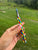 Monteverde Regatta Fountain Pen - Harlequin 2.0-Pen Boutique Ltd
