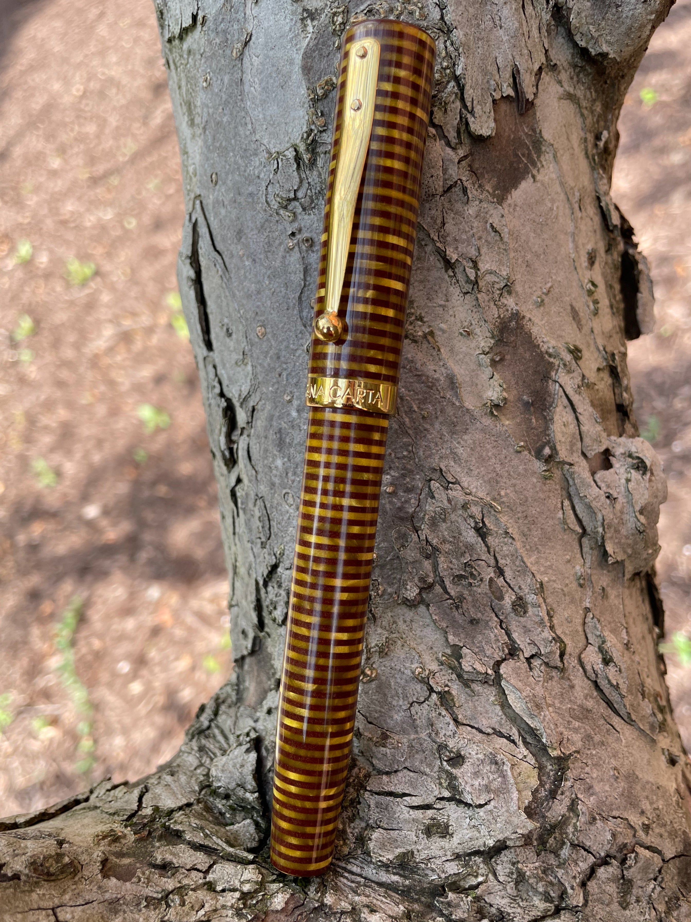 Magna Carta True Flex Fountain Pen - Bumblebee 14k gold - Pen Boutique Exclusive-Pen Boutique Ltd
