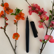 Falling in Love... with the Lamy Cursive Nib