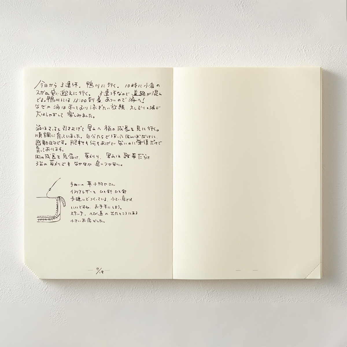 Midori Notebook -Journal Codex - A5-Pen Boutique Ltd