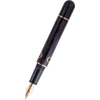 Nahvalur Nautilus Fountain Pen - Stylophora Berry - Pen Boutique Ltd