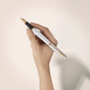 Parker Meridian Fountain Pen - Chrome - Gold Trim - Pen Boutique Ltd