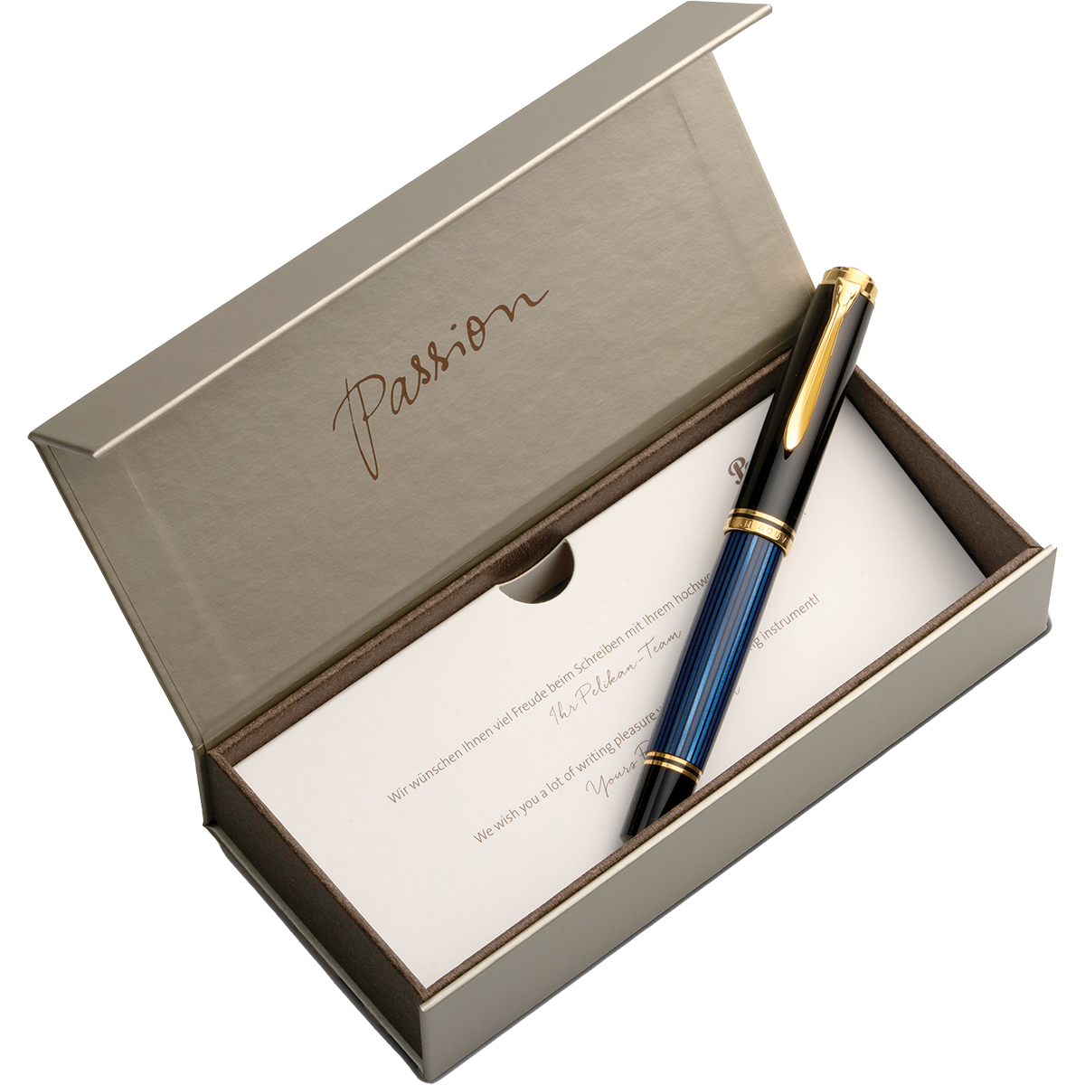 Pelikan Souveran Fountain Pen - M1000 Black & Blue
