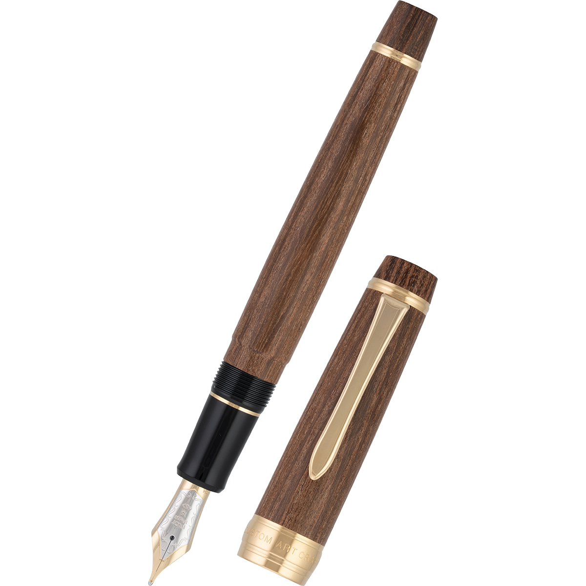 Pilot Custom Fountain Pen - Enju - Gold Trim