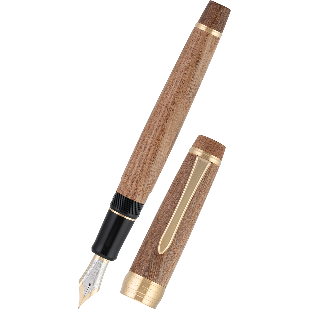 Pilot Custom Fountain Pen - Enju - Gold Trim