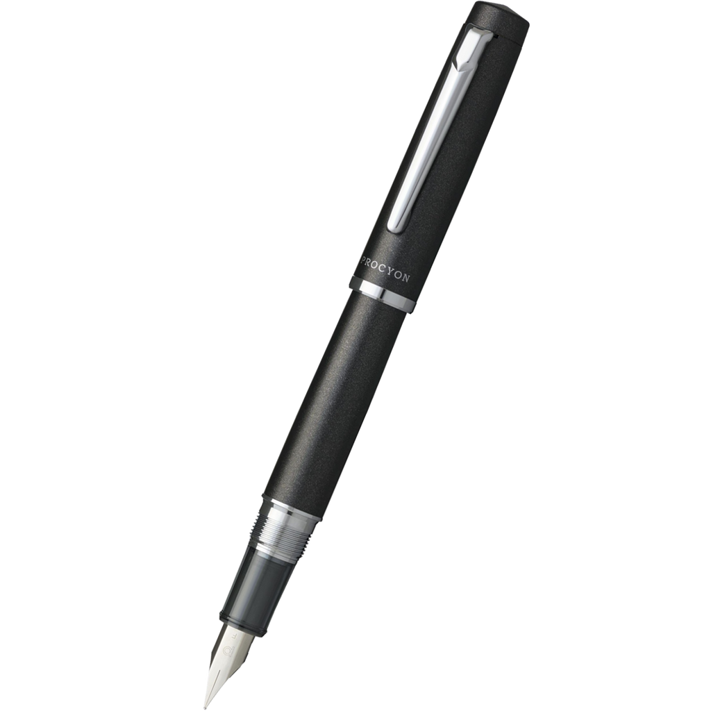 Platinum Procyon Fountain Pen - Shadow Mica