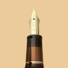Sailor Professional Gear Standard Fountain Pen - Iriomote Cat - F3(Limited Edition)-Pen Boutique Ltd