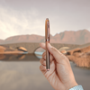Sheaffer 100 Fountain Pen - Coffee Edition-Pen Boutique Ltd