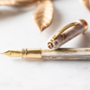 Visconti Comedia Fountain Pen - Virgilio (Limited Edition)-Pen Boutique Ltd