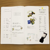 Stalogy Editors Choice Series 1/2 Year Notebook - A5-Pen Boutique Ltd