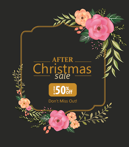 After Christmas Sale