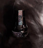 Dominant Industry Standard Ink Bottle - The Polar Star - 25ml - Pen Boutique Ltd