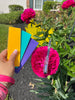 Lamy Vista Gift (Assorted Pen Sleeve Included)-Pen Boutique Ltd