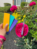 Lamy Vista Gift (Assorted Pen Sleeve Included)-Pen Boutique Ltd