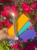 Lamy Vista Gift (Assorted Pen Sleeve Included)-Pen Boutique Ltd