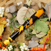 Delta Spaccanapoli Masterpiece Fountain Pen - Palladium - Limited Edition (Pen Boutique Exclusive) + FREE Monteverde Midnight Black Ink-Pen Boutique Ltd