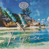 Aurora Fountain Pen - Limited Edition - Ambienti Tropic-Pen Boutique Ltd