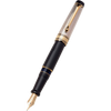 Aurora Optima Fountain Pen - Solid Silver Cap-Pen Boutique Ltd