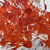 Diamine Standard Ink Bottle - Fire Ember-Pen Boutique Ltd