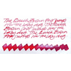 Diamine Ink Bottle - Sailors Warning - 50ml-Pen Boutique Ltd