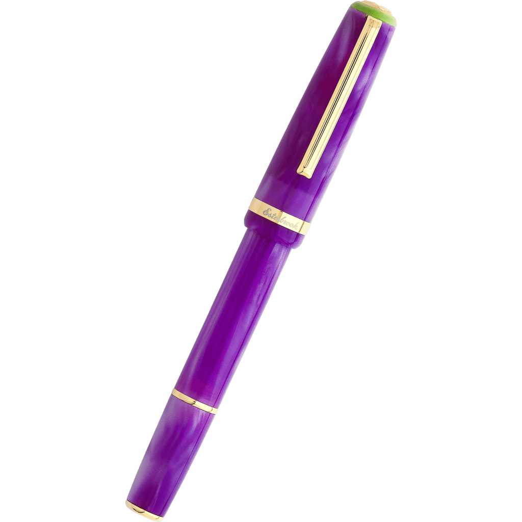 Esterbrook JR Pocket Fountain Pen - Paradise Purple Passion-Pen Boutique Ltd