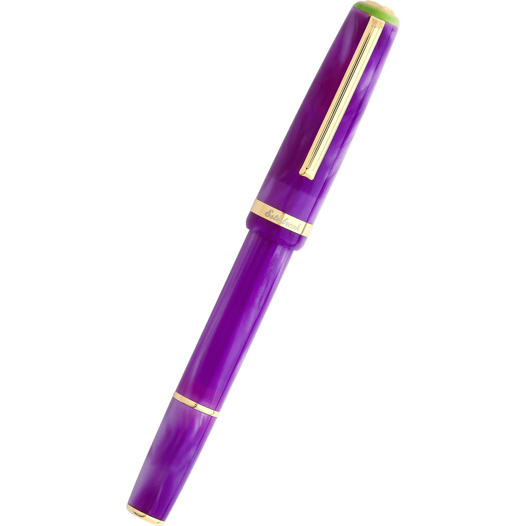 Esterbrook JR Pocket Fountain Pen - Paradise Purple Passion-Pen Boutique Ltd