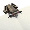 Esterbrook Page Clip - Tree Frog-Pen Boutique Ltd