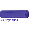 Colorverse Mini Ink - Special Edition - Hayabusa - 5ml-Pen Boutique Ltd