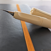 Lamy Safari Fountain Pen - Special Edition - Cozy Cream-Pen Boutique Ltd
