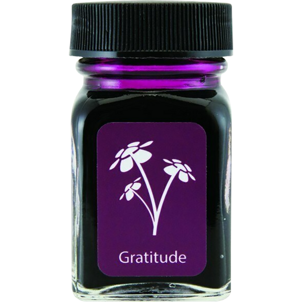 Monteverde USA Emotions Ink Bottle - Gratitude Magenta - 30ml-Pen Boutique Ltd