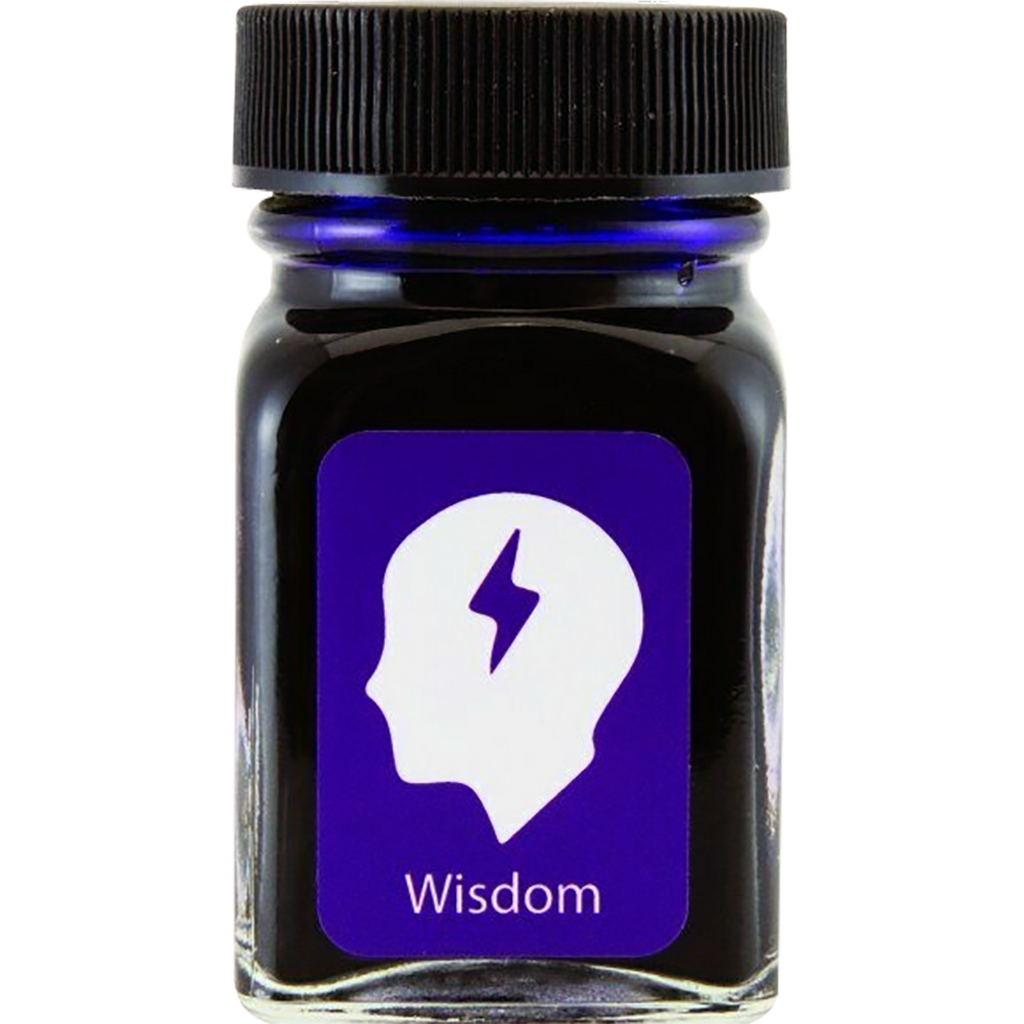 Monteverde USA Emotions Ink Bottle - Wisdom Purple - 30ml-Pen Boutique Ltd