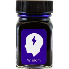 Monteverde USA Emotions Ink Bottle - Wisdom Purple - 30ml-Pen Boutique Ltd