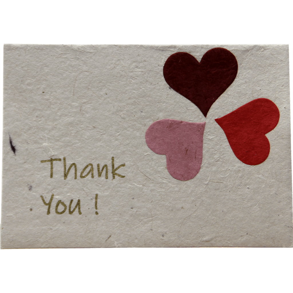 Monk Paper Thank You Note with Cornflower Petal Envelope - pack of 12 - Pen Boutique Ltd