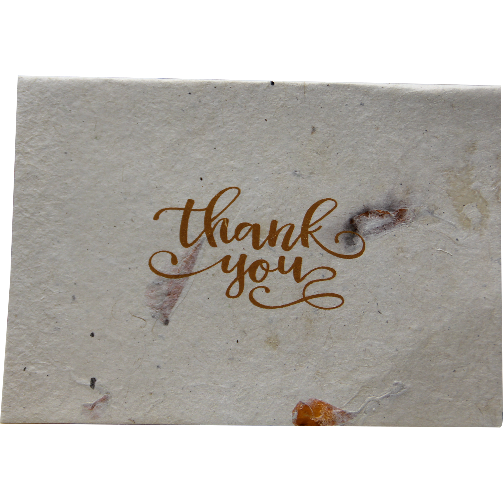 Monk Paper Thank You Note with Hemp design Envelope - pack of 12-Pen Boutique Ltd