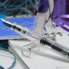 Pelikan Classic Fountain Pen - M205 Demonstrator (Special Edition)-Pen Boutique Ltd