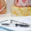 Pelikan Classic Fountain Pen - M205 Demonstrator (Special Edition)-Pen Boutique Ltd