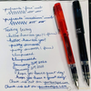 Platinum Prefounte Fountain Pen-Pen Boutique Ltd