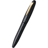 Platinum Izumo Fountain Pen - Raden Galaxy - Limited Edition-Pen Boutique Ltd