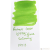 Robert Oster Shake'N'Shimmy Ink Bottle - Fizzy Lime - 50ml-Pen Boutique Ltd