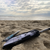 Retro 51 Apollo-Soyuz Double Pen Case-Pen Boutique Ltd