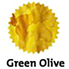 Robert Oster Signature Ink Bottle - Green Olive - 50ml-Pen Boutique Ltd